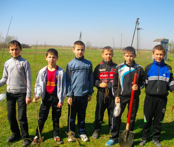 Школярі та їх наставники висаджують «дерева миру»