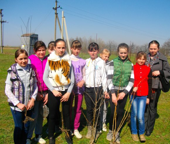 Школярі та їх наставники висаджують «дерева миру»