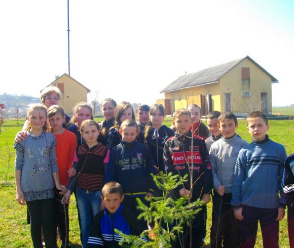 Школярі та їх наставники висаджують «дерева миру»