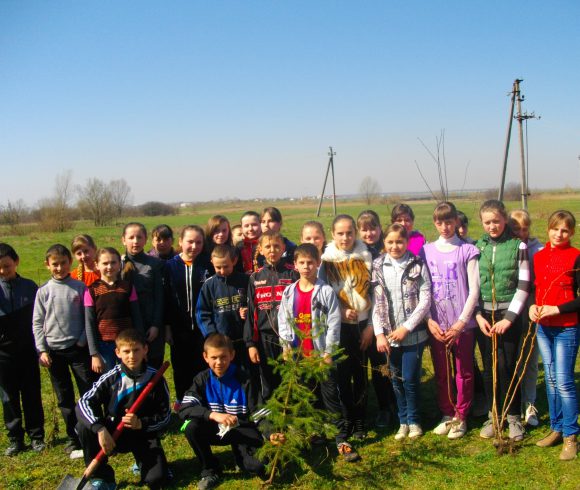 Школярі та їх наставники висаджують «дерева миру»