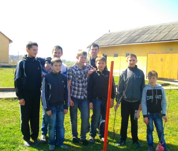 Школярі та їх наставники висаджують «дерева миру»