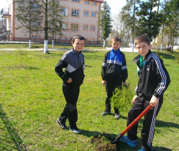 Школярі та їх наставники висаджують «дерева миру»
