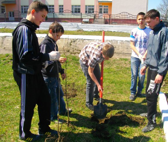 Школярі та їх наставники висаджують «дерева миру»