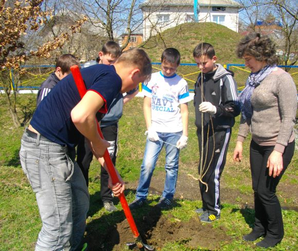 Школярі та їх наставники висаджують «дерева миру»