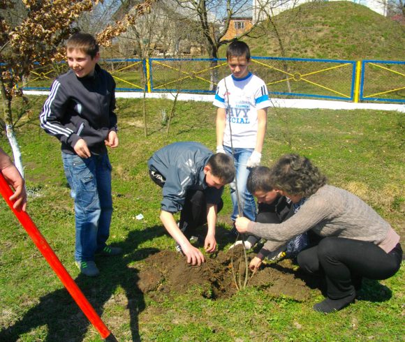 Школярі та їх наставники висаджують «дерева миру»