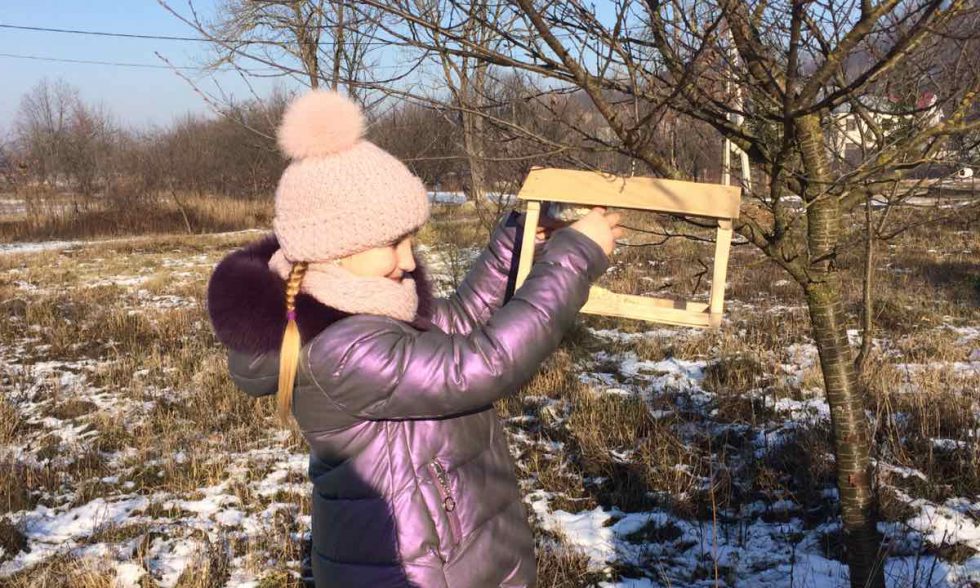 Тиждень початкової школи