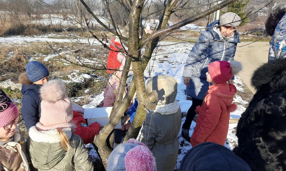 Тиждень початкової школи