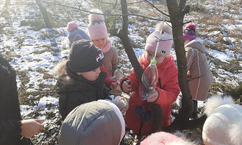 Тиждень початкової школи