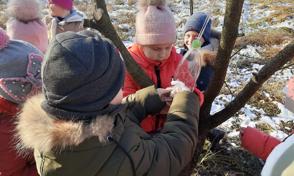 Тиждень початкової школи