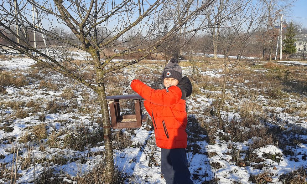Тиждень початкової школи
