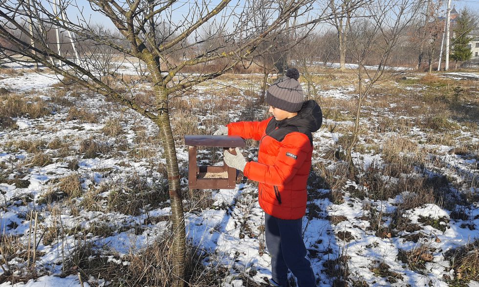 Тиждень початкової школи