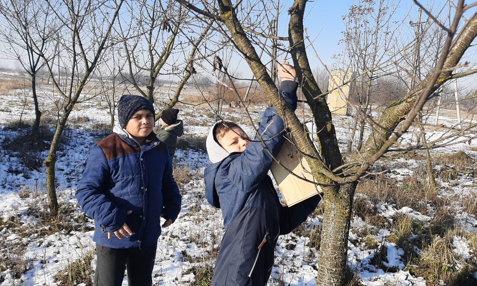 Тиждень початкової школи