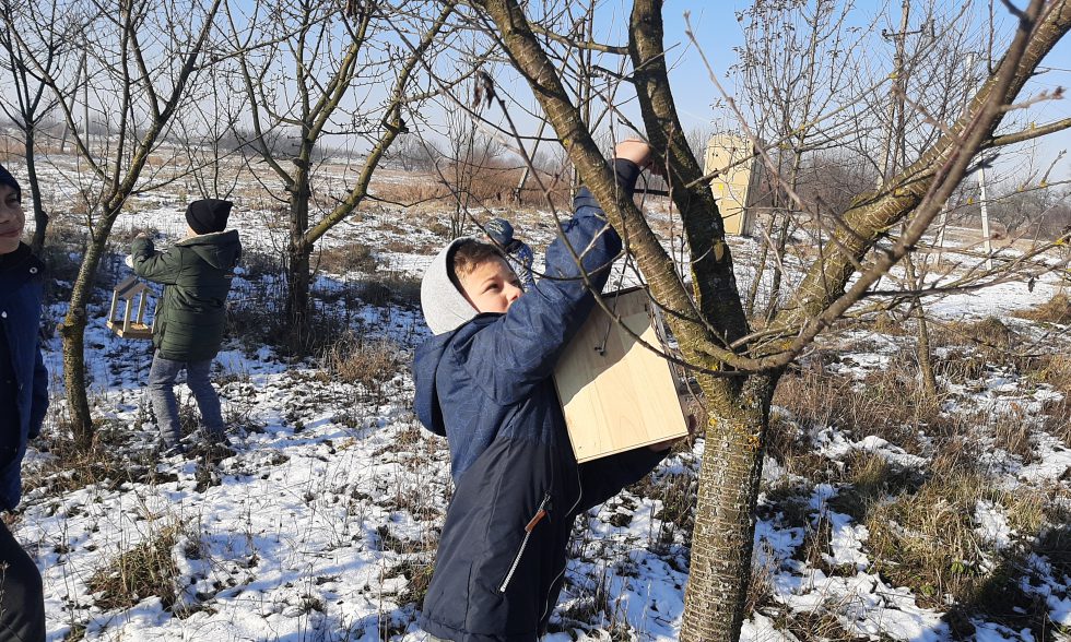 Тиждень початкової школи