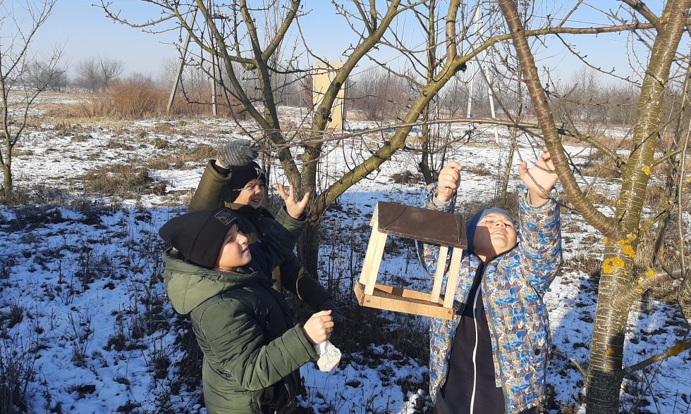 Тиждень початкової школи