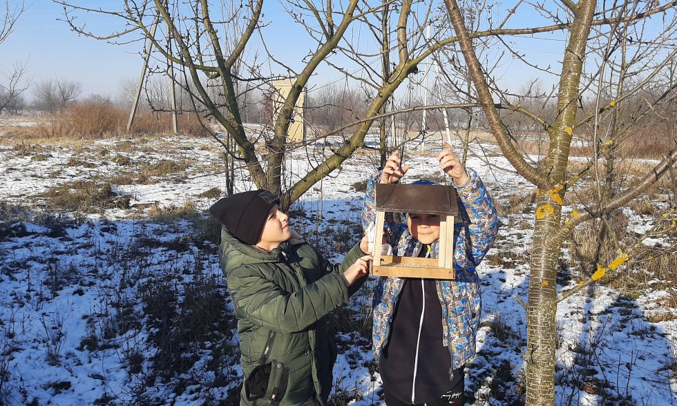 Тиждень початкової школи