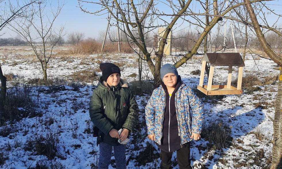 Тиждень початкової школи