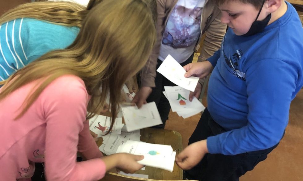 Тиждень англійської мови