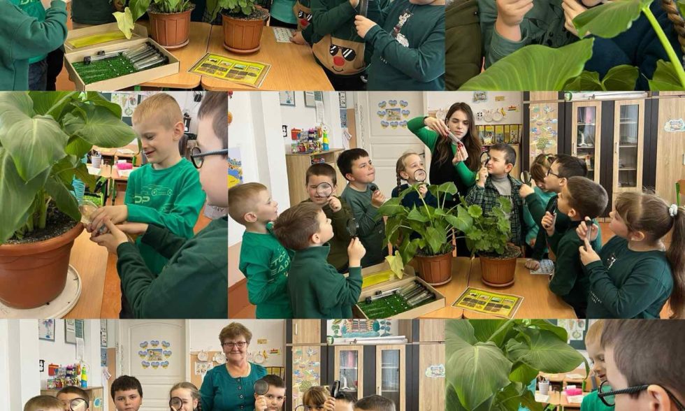 З 27.11. по 01.12. у нашому ліцеї проходить, “КОЛЬОРОВИЙ ТИЖДЕНЬ”